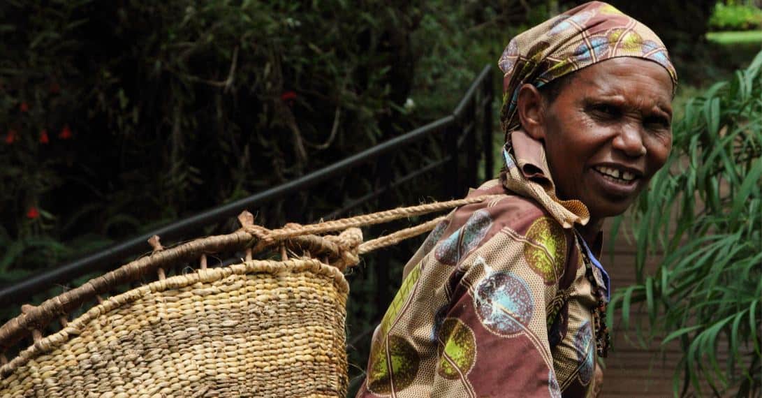 Time is running out for a new agricultural model for the global south Food Systems Summit,agroecology,Africa
