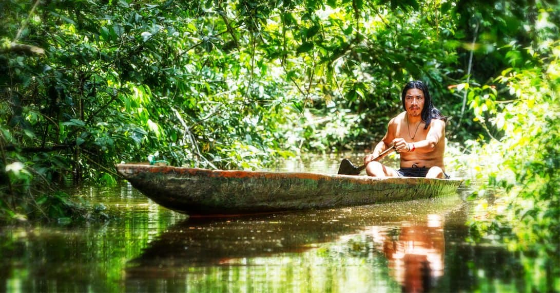 Deforestation an attack on the human rights of forest peoples indigenous peoples,deforestation