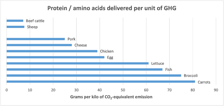 cows,cattle,livestock,emissions,food,agriculture,GHG,dairy