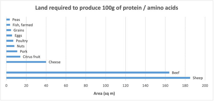 Getting to zero—what’s the beef? cows,cattle,livestock,emissions,food,agriculture,GHG,dairy