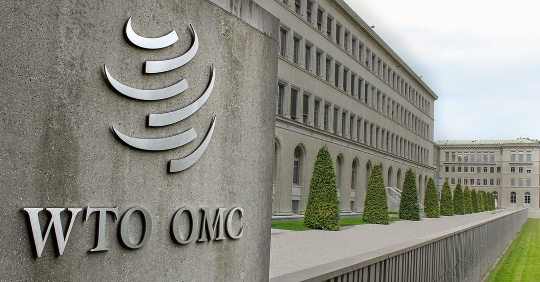 Not only a vaccine waiver: WTO reform is urgent intellectual property rights,World Trade Organization,WTO