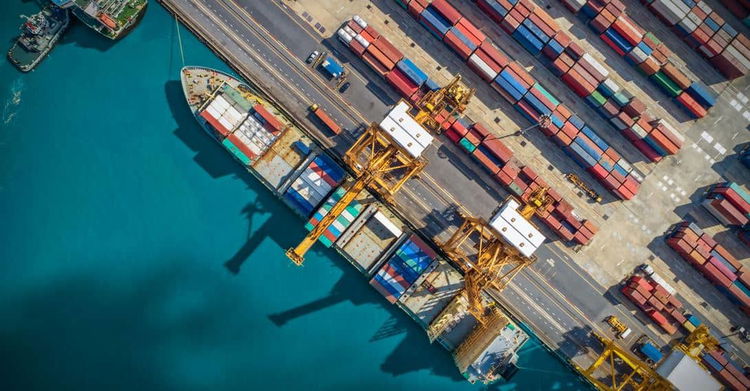 Corporate due diligence—it’s in short supply supply chains,due diligence,forced labour