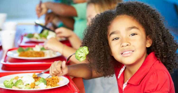 Good food—a public good food,fresh,local,organic,public procurement