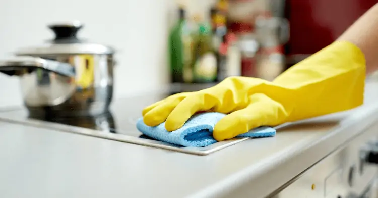 domestic workers,Spain,law