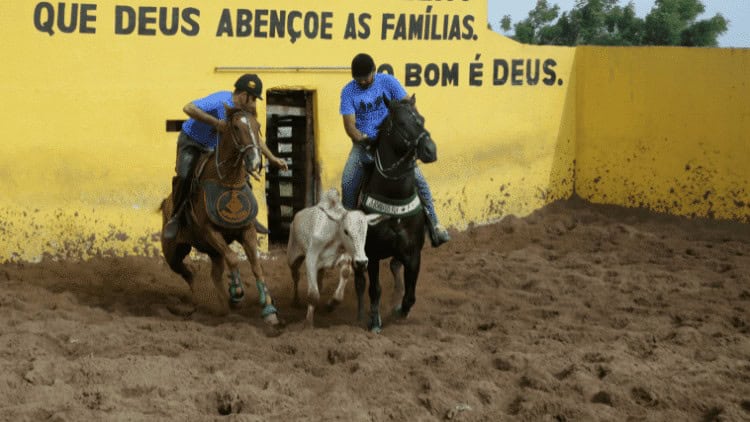 Lula,Bolsonaro,agribusiness,election,elect,Brazil