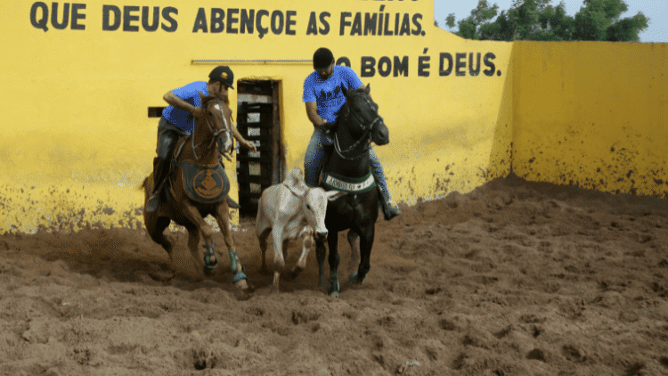 Bolsonarism after Bolsonaro Lula,Bolsonaro,agribusiness,election,elect,Brazil
