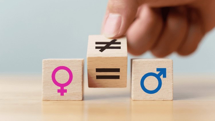 equality bodies,gender equality