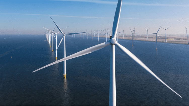 green industry,subsidies