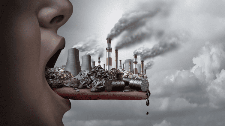 Green Deal: the light at the end of the crisis tunnel pollution,REACH,Green Deal