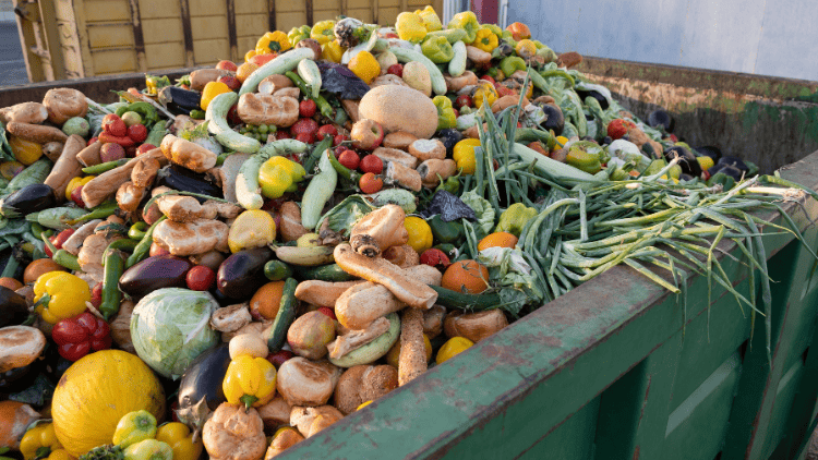 Europe’s food systems—long past their expiry date food,health,climate,wellbeing