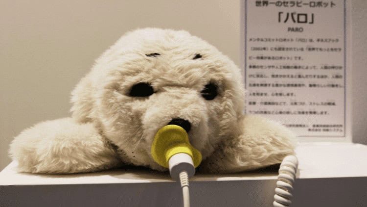 robots,care,carebots,human,ageing