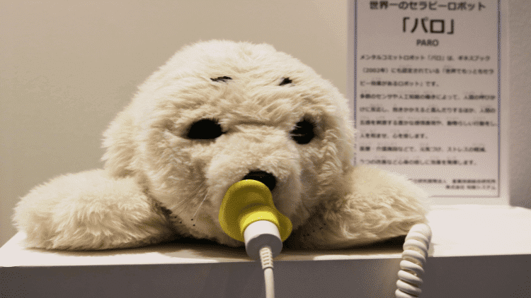 Robots in social care: the human touch at risk robots,care,carebots,human,ageing