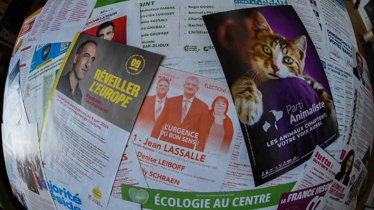 France, Europe and another election mass of diverse election brochures from the French parties