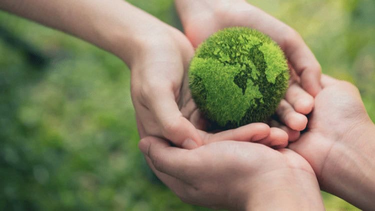 green mini-globe shared between two pairs of hands against green background