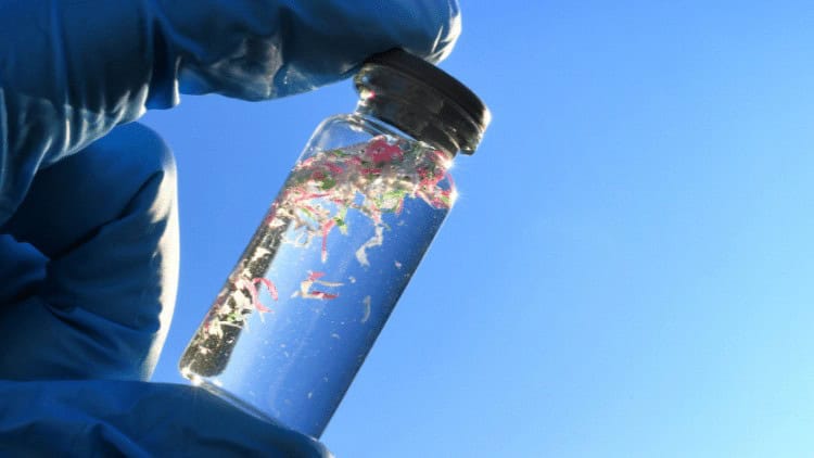 microplastics in water sample held by scientist