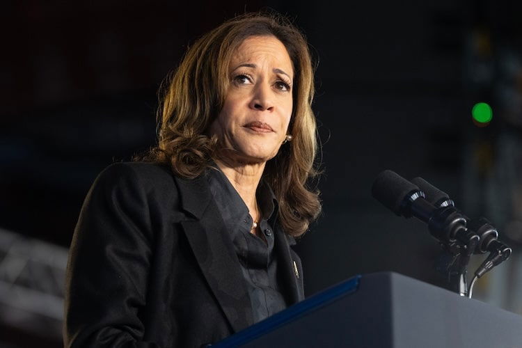 Rust Belt battle: Harris fights to stop Trump and save democracy shutterstock 2517436121